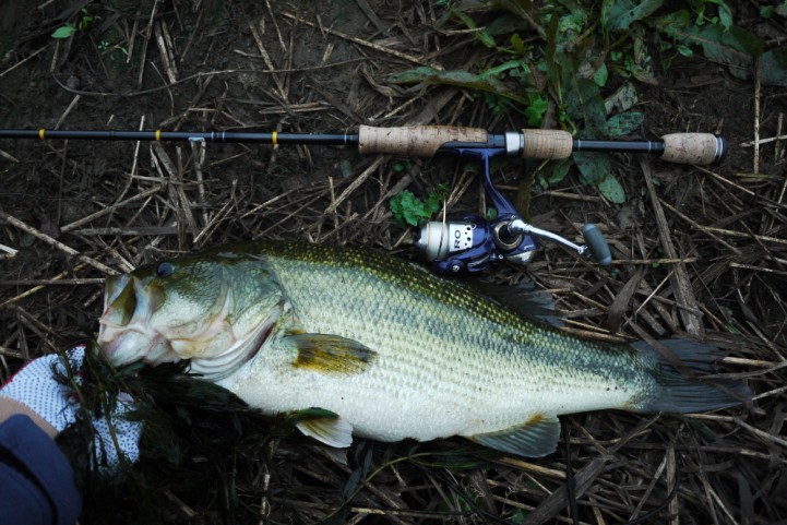 20141012 bass fishing 01.JPG