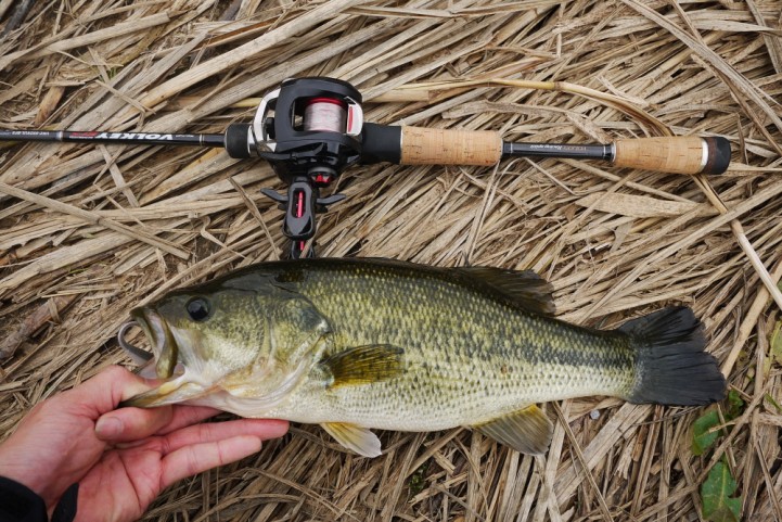 20151122 nogok bass fishing 27.JPG
