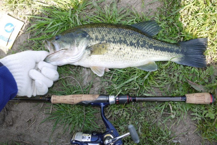 re bass fishing  02BF02.JPG