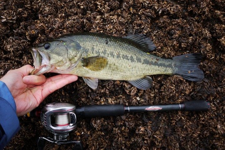 201107 bassfishing 10.JPG