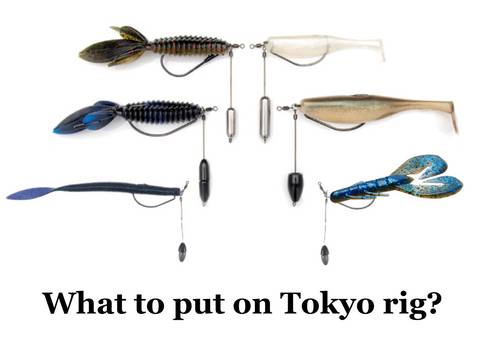 What_to_put_on_Tokyo_rig_large.png.jpg