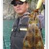 거제 무늬오징어(2011.9.24~25)